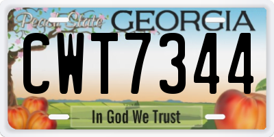 GA license plate CWT7344