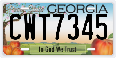 GA license plate CWT7345