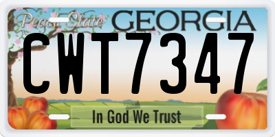 GA license plate CWT7347