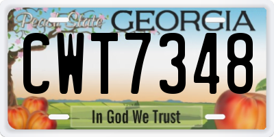 GA license plate CWT7348