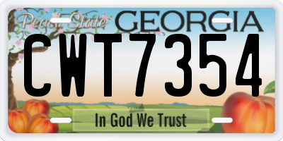 GA license plate CWT7354