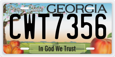 GA license plate CWT7356