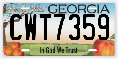 GA license plate CWT7359