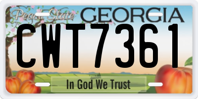 GA license plate CWT7361