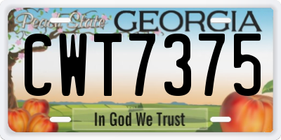 GA license plate CWT7375