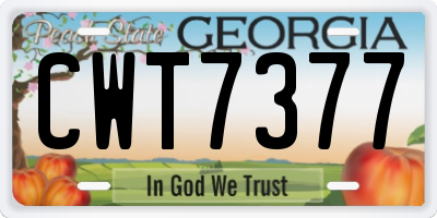 GA license plate CWT7377