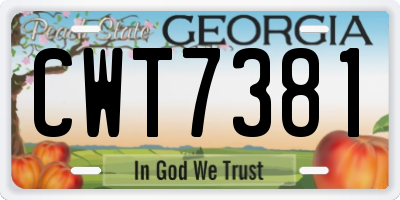 GA license plate CWT7381