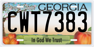GA license plate CWT7383