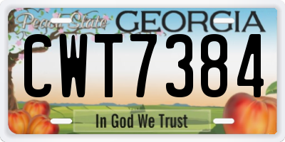 GA license plate CWT7384