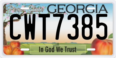 GA license plate CWT7385
