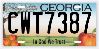 GA license plate CWT7387