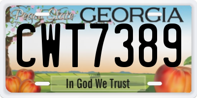 GA license plate CWT7389