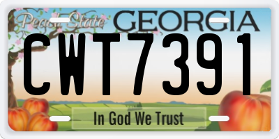 GA license plate CWT7391