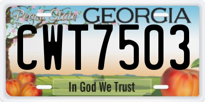 GA license plate CWT7503