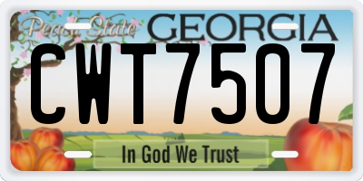 GA license plate CWT7507