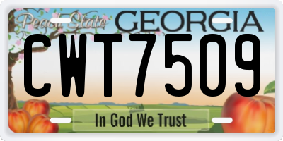 GA license plate CWT7509