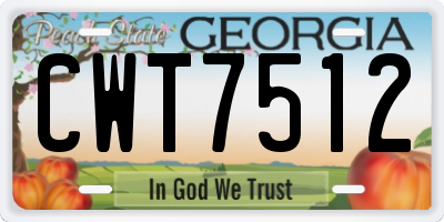 GA license plate CWT7512
