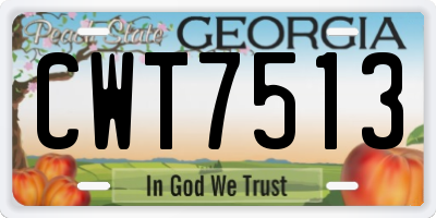 GA license plate CWT7513