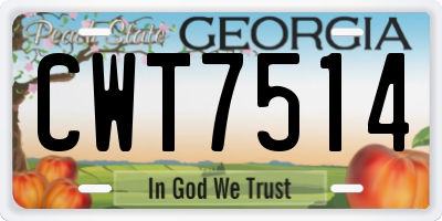 GA license plate CWT7514