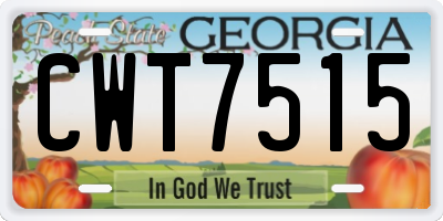 GA license plate CWT7515
