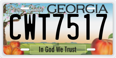GA license plate CWT7517