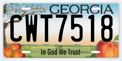 GA license plate CWT7518