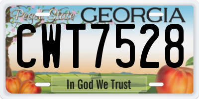 GA license plate CWT7528