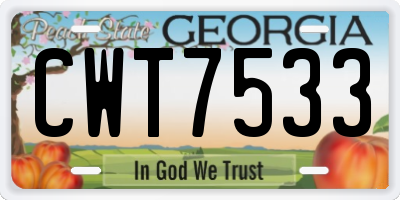 GA license plate CWT7533