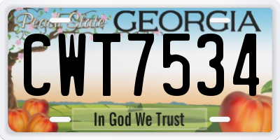 GA license plate CWT7534