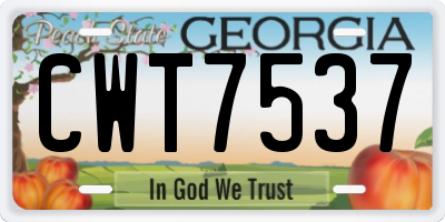 GA license plate CWT7537