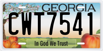 GA license plate CWT7541