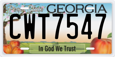 GA license plate CWT7547