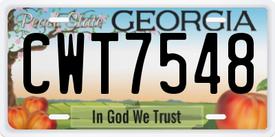 GA license plate CWT7548