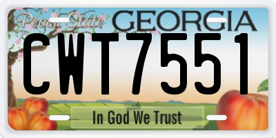 GA license plate CWT7551