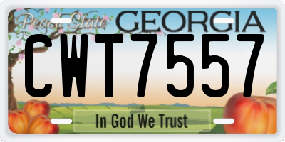 GA license plate CWT7557