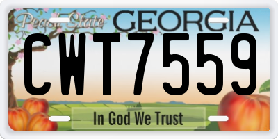 GA license plate CWT7559