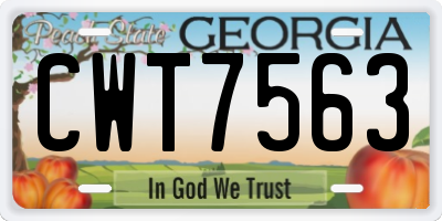 GA license plate CWT7563