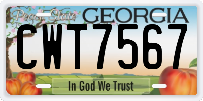 GA license plate CWT7567