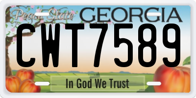 GA license plate CWT7589