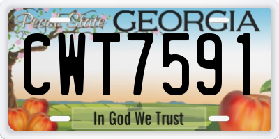 GA license plate CWT7591