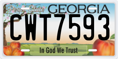 GA license plate CWT7593