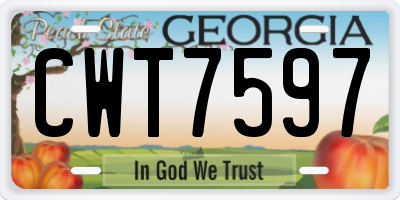 GA license plate CWT7597