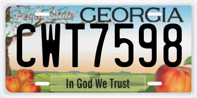 GA license plate CWT7598