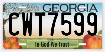 GA license plate CWT7599