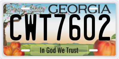 GA license plate CWT7602
