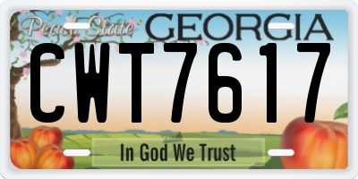GA license plate CWT7617