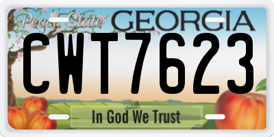 GA license plate CWT7623