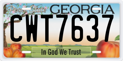 GA license plate CWT7637