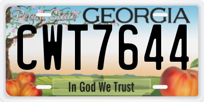GA license plate CWT7644