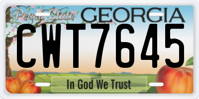 GA license plate CWT7645
